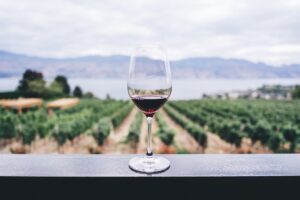 World’s First Entirely Virtual Wine Launched by Eric Schmidt and Jeff Bezos