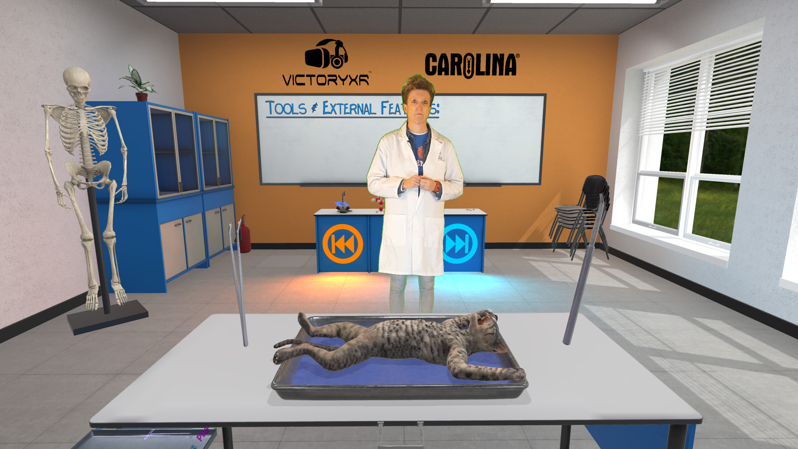 VictoryXR and HTC VIVE to Introduce VR-powered Animal Dissection Curriculum with VIVE Focus 3